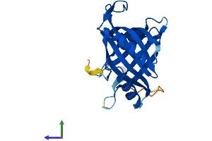 AlphaFold protein structure predicition of Human Recombinant MED18 Protein, UniprotID Q9BUE0