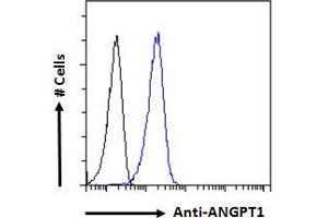 ABIN768552 Flow cytometric analysis of paraformaldehyde fixed A431 cells (blue line), permeabilized with 0. (Angiopoietin 1 Antikörper  (Internal Region))