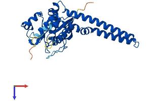 GIMAP7 Protein (AA 1-300) (His tag)