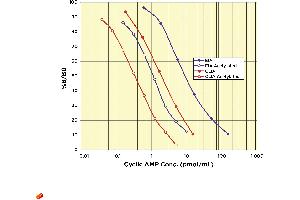 Image no. 3 for Cyclic Adenosine Monophosphate (cAMP) CLIA Kit (ABIN577668) (CAMP CLIA Kit)