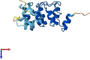 PPP1R27 Protein (AA 1-154) (His tag)