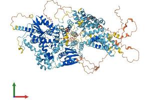 AlphaFold protein structure predicition of Mouse Recombinant Ttc41 Protein, UniprotID Q692V3 (Ttc41/Gnn Protein (AA 1-1318) (His tag))