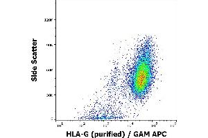 Flow cytometry intracellular staining pattern of HLA-G transfected HEK-293 cells using anti-human HLA-G (2A12) purified antibody (concentration in sample 4 μg/mL) GAM APC.