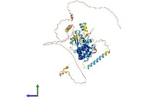Protein Structure (PS) image for 5'-Nucleotidase, Cytosolic IB (NT5C1B) (AA 1-610) protein (His tag) (ABIN7551815)
