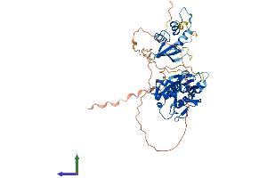 Protein Structure (PS) image for Interferon Regulatory Factor 6 (IRF6) (AA 1-467) protein (His tag) (ABIN7556805)