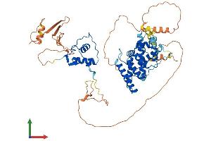 AlphaFold protein structure predicition of Mouse Recombinant Nr2c1 Protein, UniprotID Q505F1