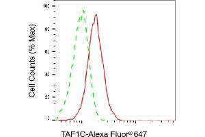 Flow cytometric analysis of TAF1C expression in HepG2 cells using TAF1C antibody (ABIN7800517), 1:2,000).