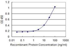 Detection limit for recombinant GST tagged AXL is 0. (AXL Antikörper  (AA 787-885))