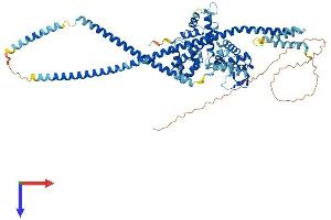 Tsnaxip1 Protein (AA 1-704) (His tag)