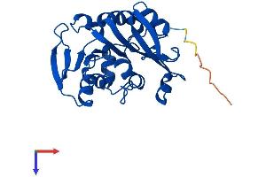 TPMT Protein (AA 1-245) (His tag)