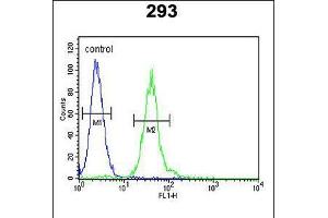 Flow cytometric analysis of 293 cells (right histogram) compared to a negative control cell (left histogram). (M-CSF/CSF1 Antikörper  (AA 230-257))
