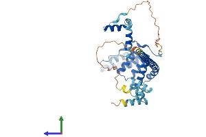 Protein Structure (PS) image for Suppression of Tumorigenicity 13 (ST13) (AA 1-369) protein (His tag) (ABIN7547538)