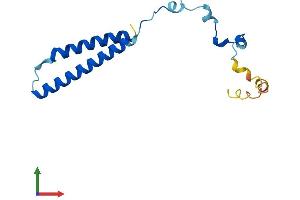 Protein Structure (PS) image for Membrane Magnesium Transporter 1 (MMGT1) (AA 1-131) protein (His tag) (ABIN7559493)