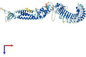 LRRC8E Protein (AA 1-795) (His tag)