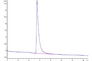 Size-exclusion chromatography-High Pressure Liquid Chromatography (SEC-HPLC) image for Receptor Tyrosine-Protein Kinase ErbB-3 (ERBB3) (AA 20-643) protein (Fc Tag) (ABIN7274797)