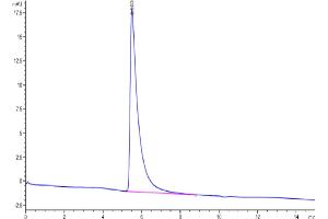 The purity of Human Her3 is greater than 95 % as determined by SEC-HPLC. (ERBB3 Protein (AA 20-643) (Fc Tag))