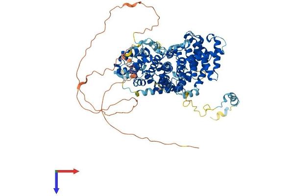 STRIP2 Protein (AA 1-844) (His tag)