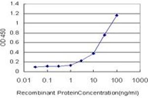 Detection limit for recombinant GST tagged GTF2H1 is approximately 1ng/ml as a capture antibody. (GTF2H1 Antikörper  (AA 1-548))