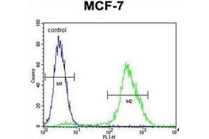 Fow cytometric analysis of MCF-7 cells using PMPCA Antibody (C-term) Cat. (PMPCA Antikörper  (C-Term))