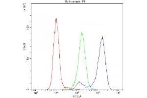 Flow cytometry testing of human K562 cells with Cytochrome C antibody at 1ug/10^6 cells (blocked with goat sera) (Cytochrome C Antikörper  (AA 2-105))