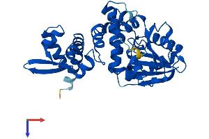 ASMT Protein (AA 1-345) (His tag)