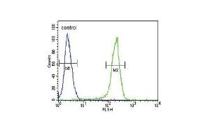 CCR7 Antibody (N-term) (ABIN651190 and ABIN2840119) flow cytometric analysis of 293 cells (right histogram) compared to a negative control cell (left histogram).
