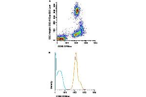 Flow cytometric analysis of human peripheral blood cells with CD53 monoclonal antibody, clone HI29 (CF-Blue) . (CD53 Antikörper  (CF-Blue))