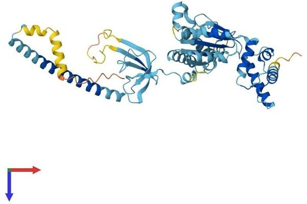 PSMC3 Protein (AA 1-439) (His tag)