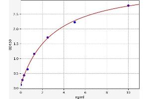 ADAMTS10 ELISA Kit