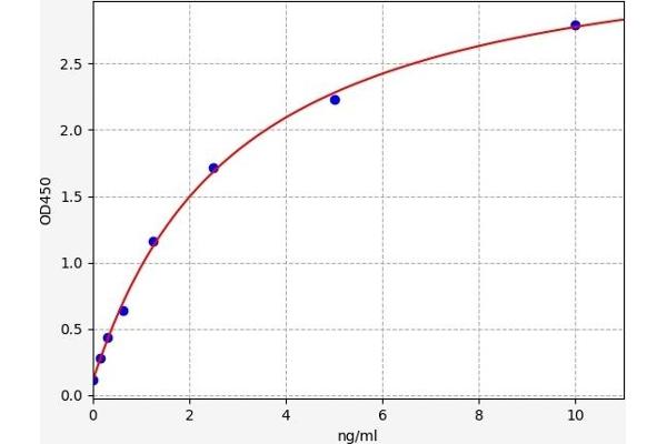 ADAMTS10 ELISA Kit