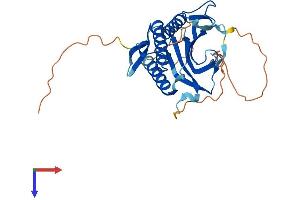 HORMAD2 Protein (AA 1-306) (His tag)
