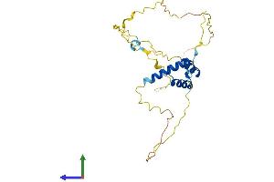 AlphaFold protein structure predicition of Mouse Recombinant Hhex Protein, UniprotID P43120 (HHEX Protein (AA 1-271) (His tag))
