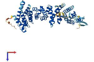 Ataxin 10 Protein (ATXN10) (AA 1-475) (His tag)