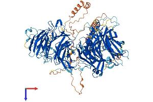 LLGL1 Protein (AA 1-1064) (His tag)