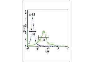 Sestrin-2 Antibody (Center) (ABIN652222 and ABIN2840929) flow cytometric analysis of 293 cells (right histogram) compared to a negative control cell (left histogram). (Sestrin 2 Antikörper  (AA 283-311))