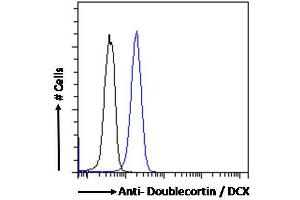 ABIN6391364 Flow cytometric analysis of paraformaldehyde fixed Kelly cells (blue line), permeabilized with 0. (Doublecortin Antikörper  (AA 69-81))