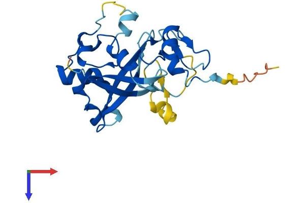 ZMYND19 Protein (AA 1-227) (His tag)
