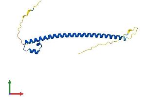 Protein Structure (PS) image for Transcription Factor MafK (MAFK) (AA 1-156) protein (His tag) (ABIN7557740)