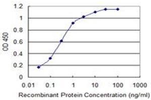 Detection limit for recombinant GST tagged CACNA1C is 0. (CACNA1C Antikörper  (AA 2039-2138))