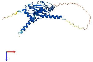 UBE2J2 Protein (AA 1-259) (His tag)