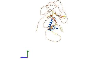 AlphaFold protein structure predicition of Mouse Recombinant Nfya Protein, UniprotID P23708 (NFYA Protein (AA 1-346) (His tag))