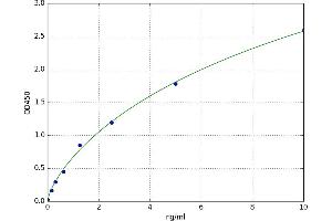 Fas Apoptotic Inhibitory Molecule 3 (FAIM3) ELISA Kit