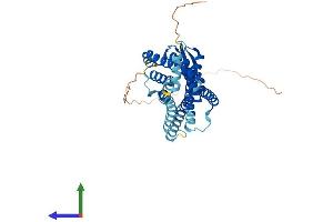 Protein Structure (PS) image for Prolactin Releasing Hormone Receptor (PRLHR) (AA 1-370) protein (His tag) (ABIN7558117)
