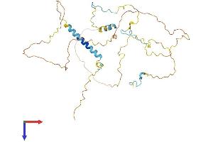 HABP4 Protein (AA 1-411) (His tag)