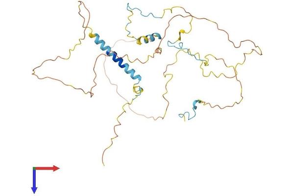 HABP4 Protein (AA 1-411) (His tag)
