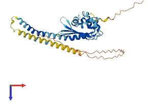TSPY2 Protein (AA 1-308) (His tag)