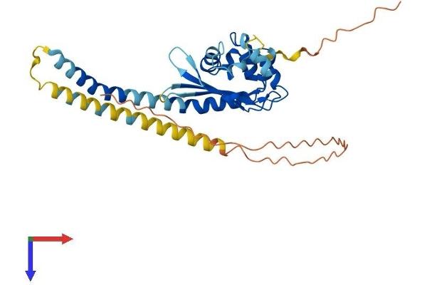 TSPY2 Protein (AA 1-308) (His tag)