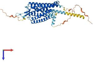 NTSR2 Protein (AA 1-416) (His tag)