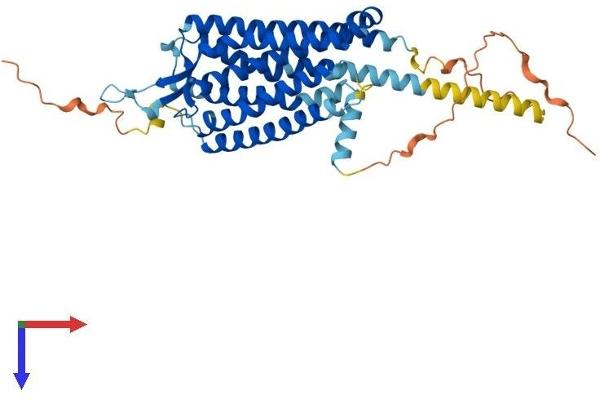 NTSR2 Protein (AA 1-416) (His tag)