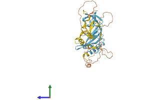 Protein Structure (PS) image for NADPH Oxidase Organizer 1 (NOXO1) (AA 1-376) protein (His tag) (ABIN7549841)